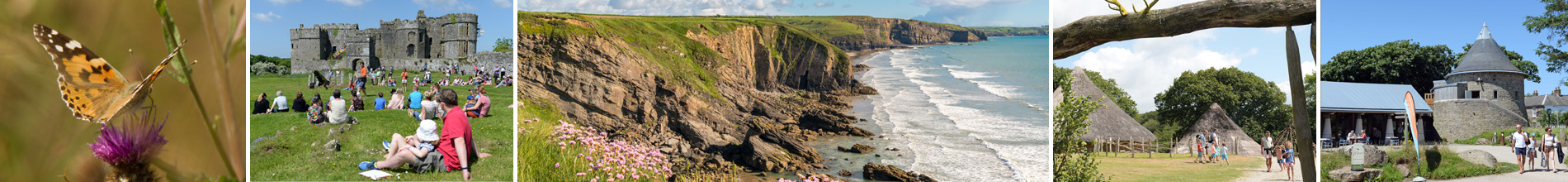 Montage of images showing scenery and wildlife from around the Pembrokeshire Coast National Park
